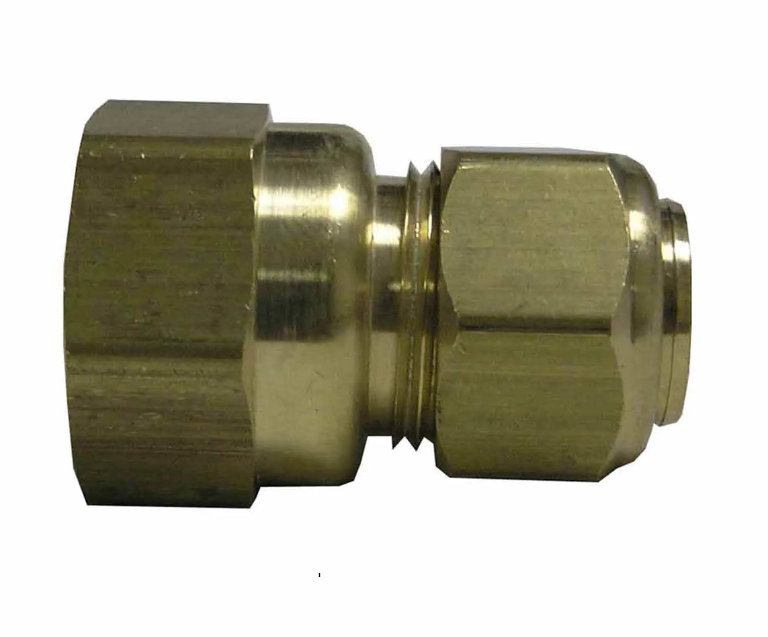 Watts 1/2 Inch FIP x 3/8 Inch OD Compression Valve image 3